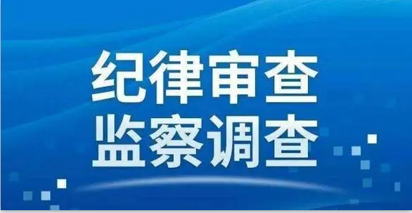 纪律审查监察调查.png