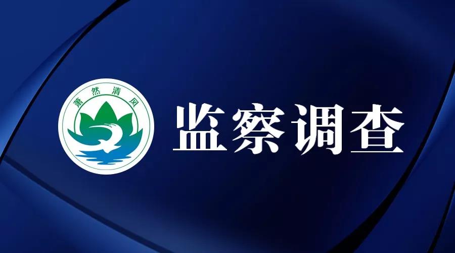 监察调查.jpg